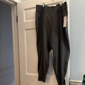 Athleta NWT Venice Joggers